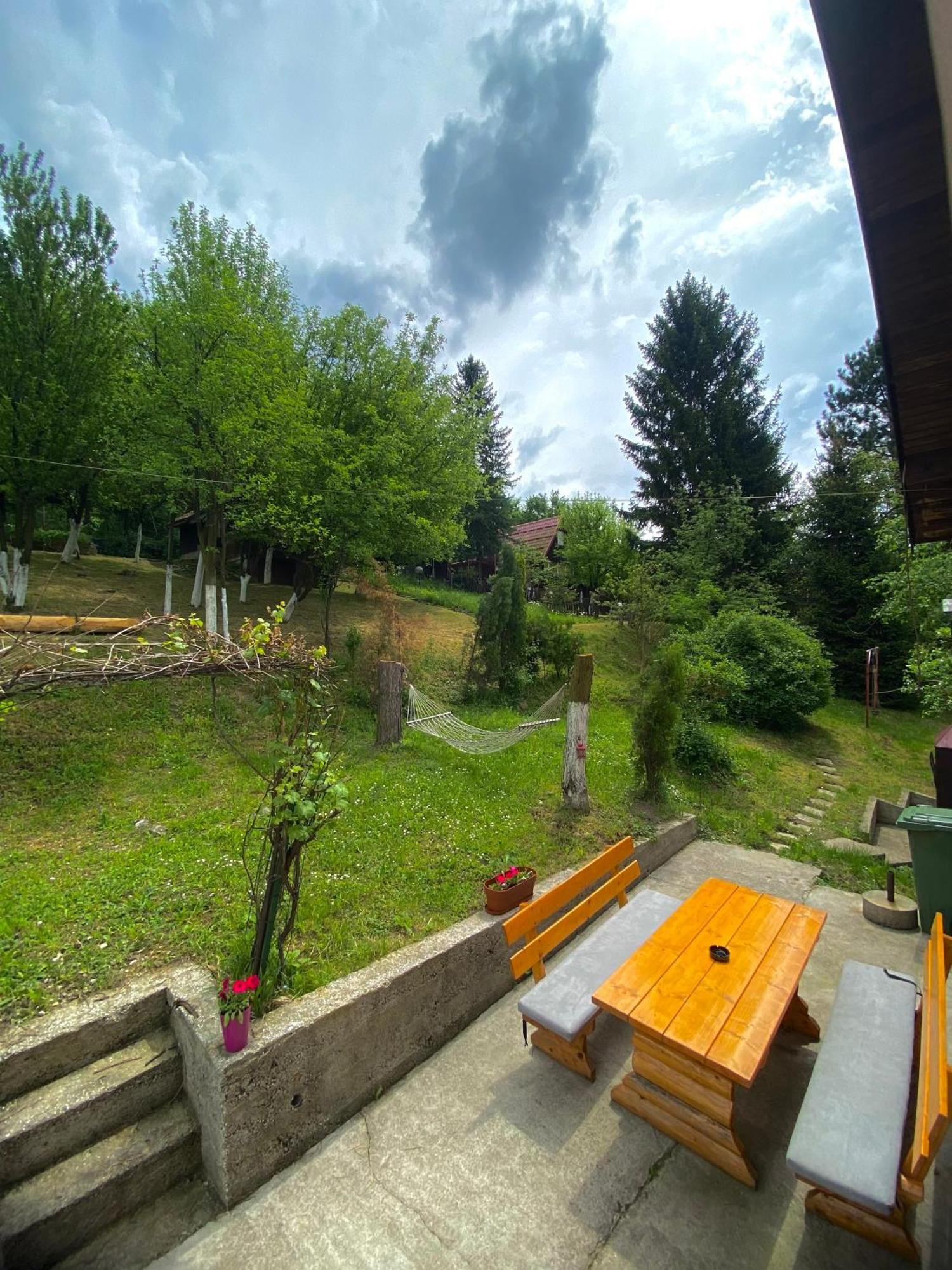 Piccola Foresta